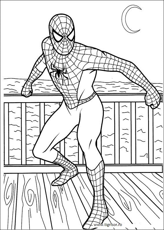 Plansa de colorat cu Spiderman noaptea Planse de colorat